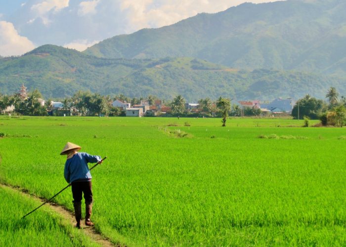 Earthcare Foundation